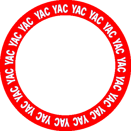 Youth Advisory Council